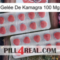 Gelée De Kamagra 100 Mg 19
